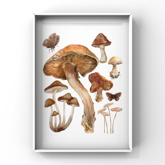 Vintage Mushroom Wall Art Print Home Decor Verities of Mushroom Group Art - Picture 2 of 4